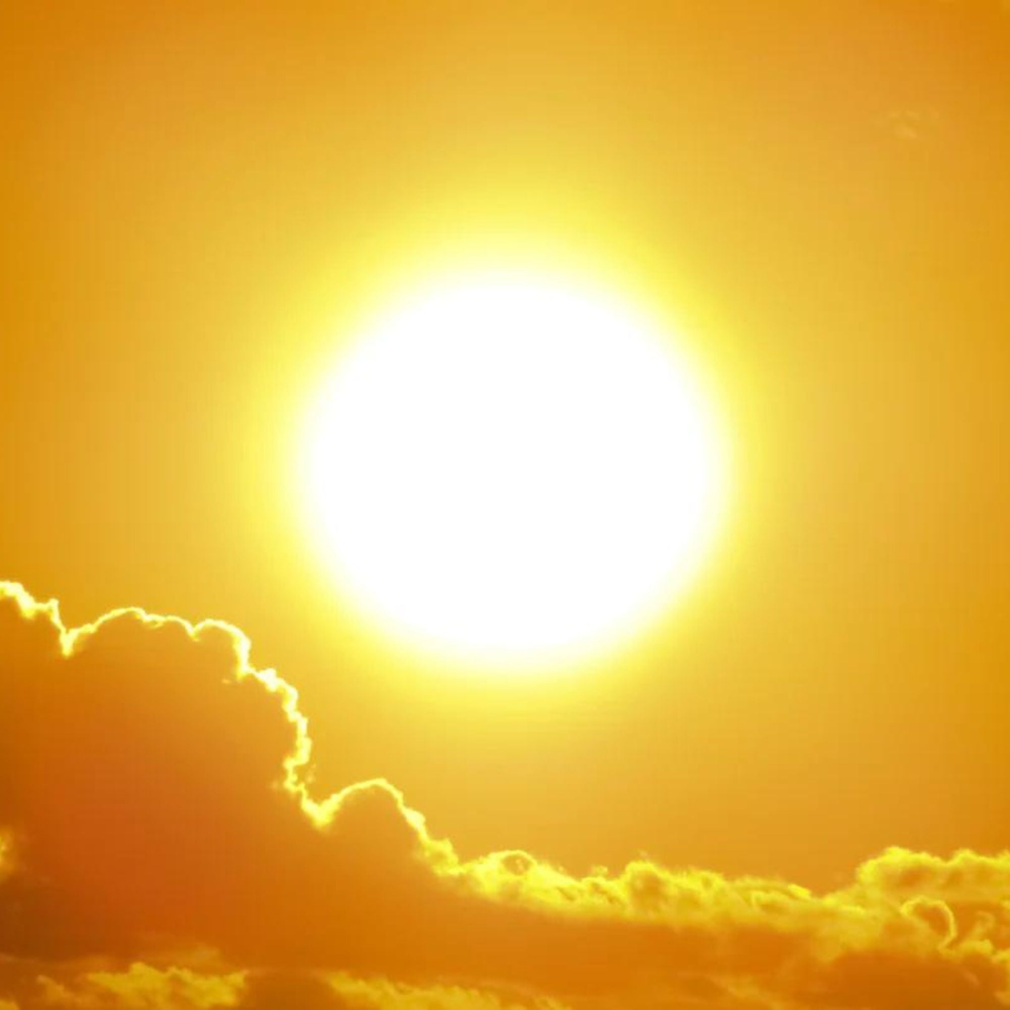 Can You Lower Your Risk Of Melanoma? New Study Says You Can