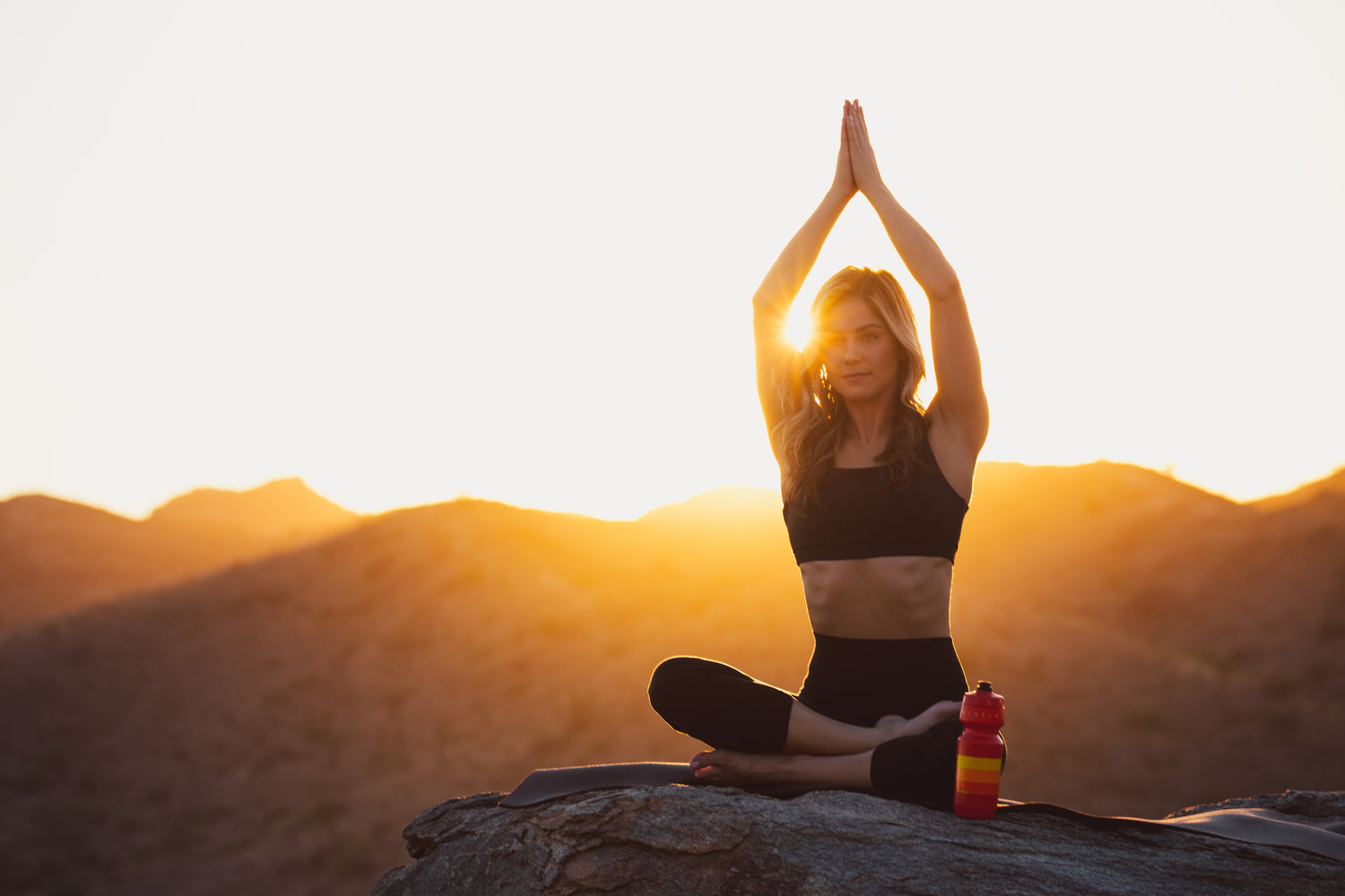Reishi Mushrooms As An Adaptogen -- Xendurance