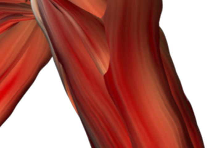 Inflammation: The Silent Contributor to Degenerative Diseases