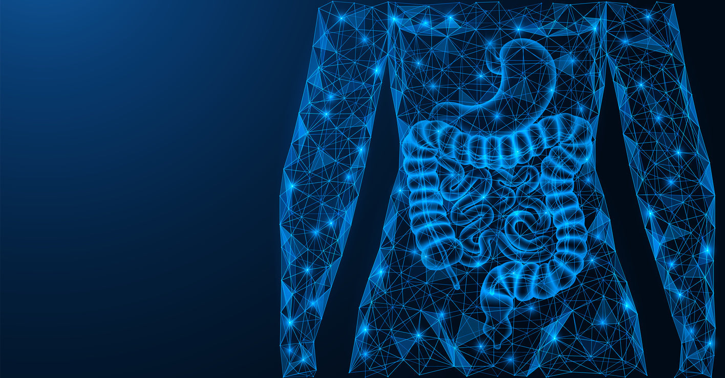 probiotics and prebiotics for gut health and healthy microbiome