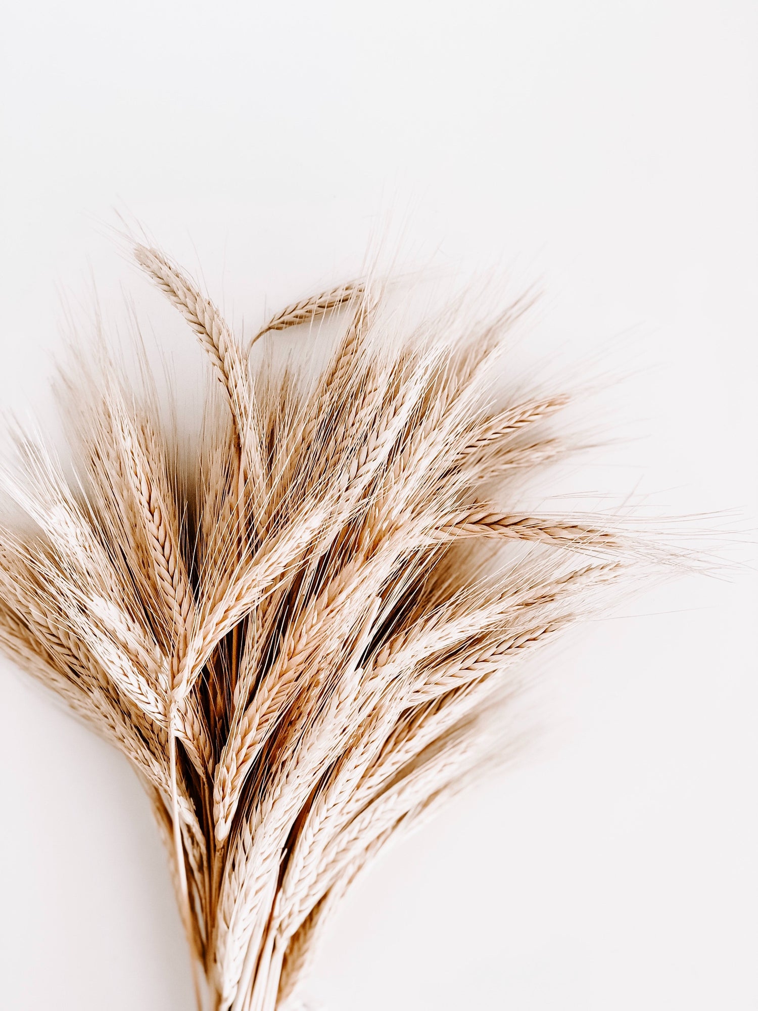 Gluten-Free Skin Care: Why People With Celiac Disease Should Look For It?