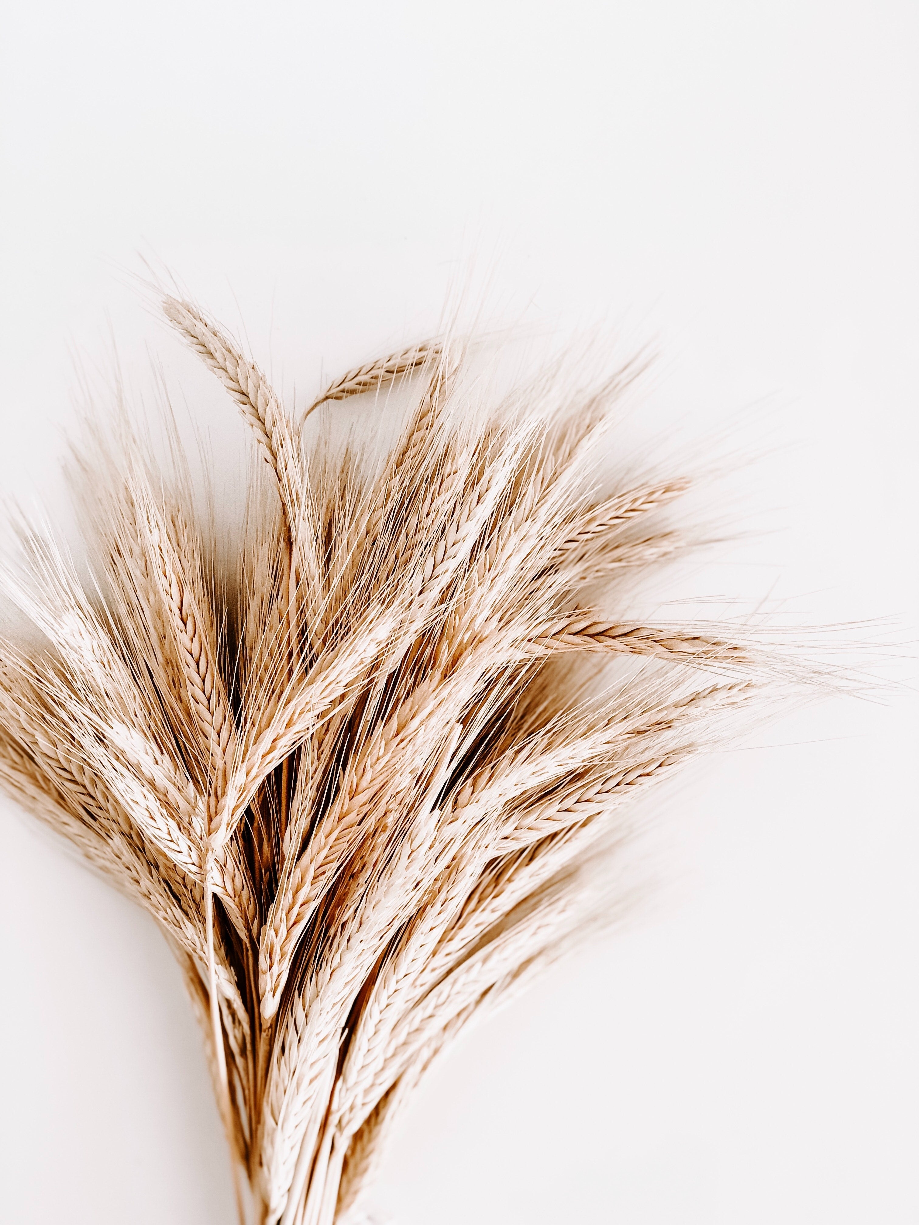 Gluten-Free Skin Care: Why People With Celiac Disease Should Look For It?