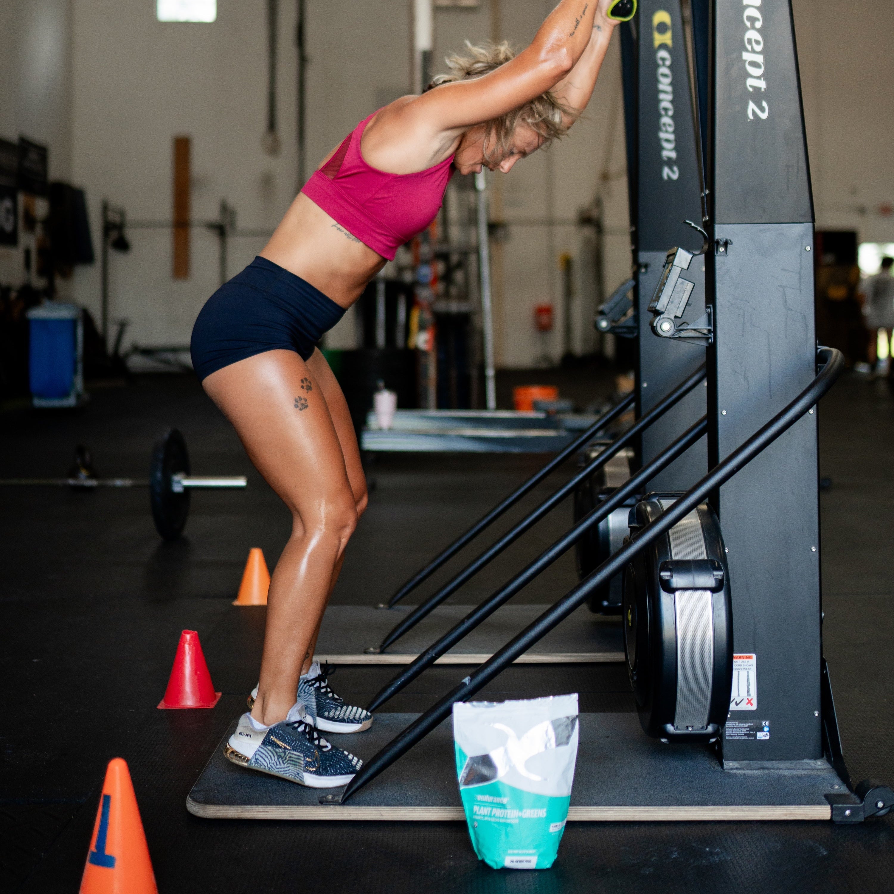 Plant Protein+Greens - xendurance