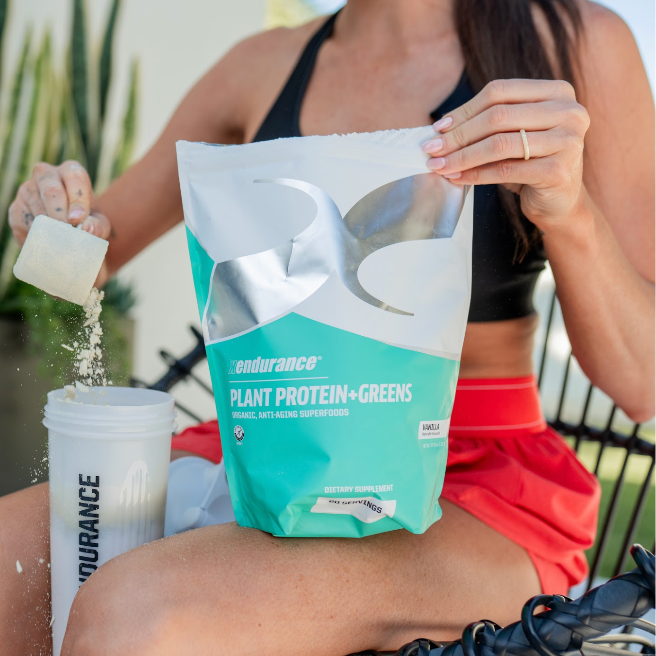 Plant Protein+Greens - xendurance